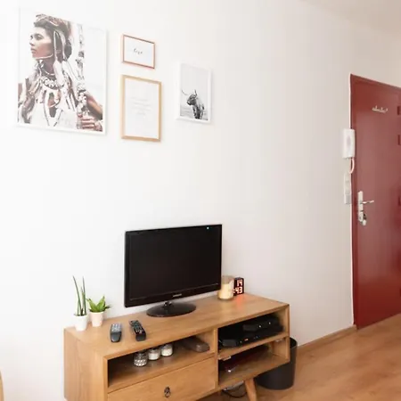 Splendid Design And Bright Apt